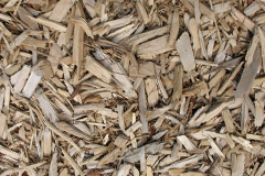 biomass boilers Balintore
